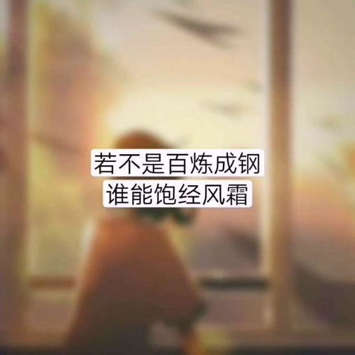若不是李小贝，若不是李小贝的歌