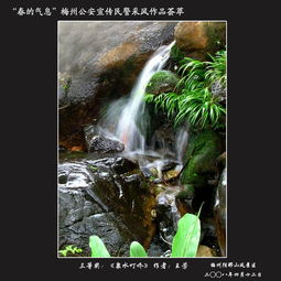泉水叮咚的拼音是什么，莺歌燕舞的拼音