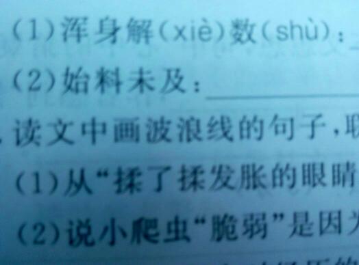 浑身解数的意思解释