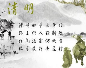 清明节的雨初中作文600字10篇