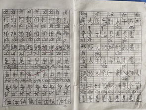 推的组词2个字，探的组词