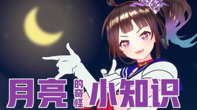 虚拟的十七岁pdf，虚拟的十七岁好看吗