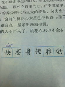 【禾稻】的意思是什么?【禾稻】是什么意思?