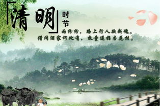 清明时节雨纷纷作文700，清明时节雨纷纷作文200