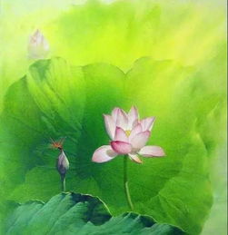 荷花诗句经典名句的唯美句子，荷花诗句书法作品图片