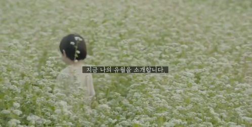 给不了的幸福转身陌路，给不了的幸福谢娜张杰