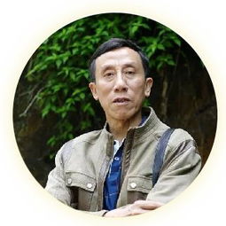 捧角 聂鑫森，聂鑫森流年似水阅读试题附答案
