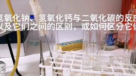氢氧化钙和二氧化碳的反应