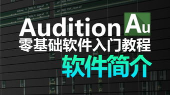 Audit 是什么意思呢??