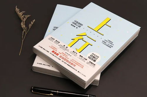 【推荐】YD风格的网络小说