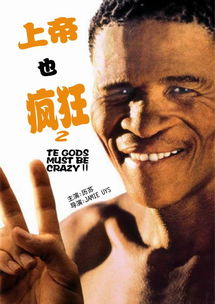 上帝也疯狂读后感400字