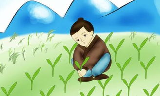 拔苗助长什么意思,解一个生肖，拔苗助长什么意思造句