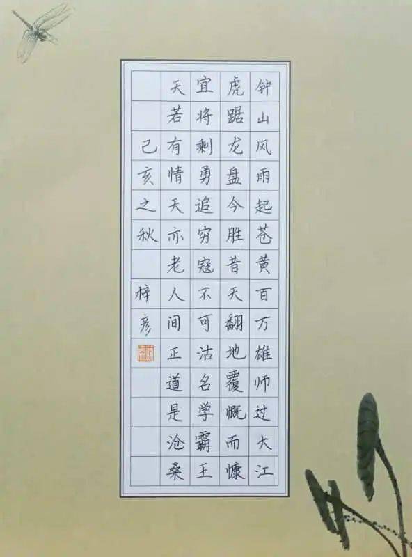 梓怎么读什么意思