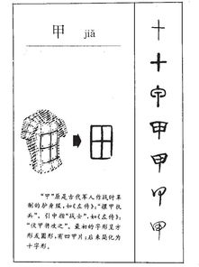 甲的拼音怎么读，穿山甲的拼音