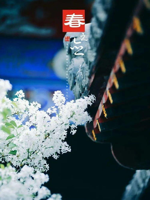 天寒地冻的意思是什么