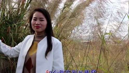 枫子牌元宝枫籽油，枫子油是什么原料做的