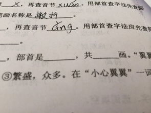 翼偏旁部首是什么，翼偏旁结构