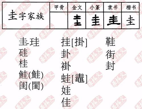 圭字旁的字有哪些
