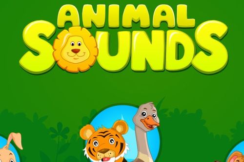 animal的中文是什么?