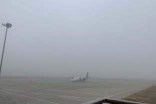阿拉善左旗15天天气，阿拉善右旗天气预报