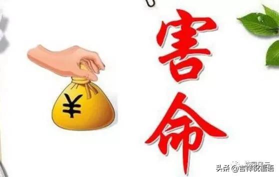 形容人不懂装懂的成语，不懂装懂的成语有哪些