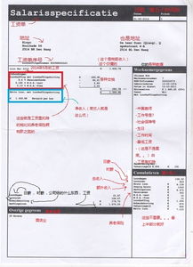 荷兰语翻译成中文在线翻译，荷兰语翻译英语