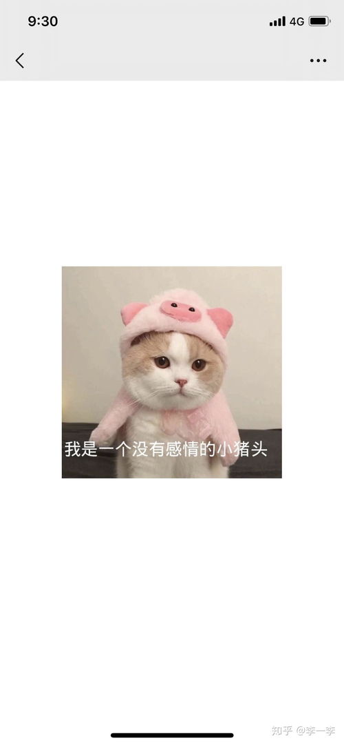 pineapple什么意思中文翻译