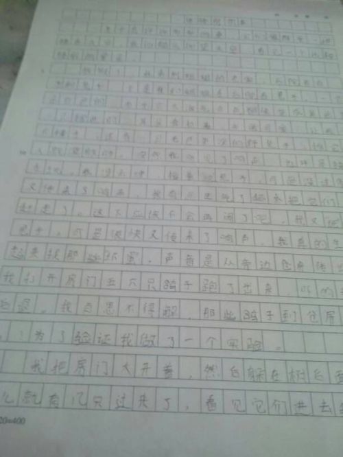 特别的礼物600字作文6篇