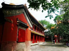 延寿堂简介，延寿堂老白茶
