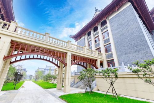 河南大学分校本科分数线是多少啊