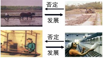 扬弃是什么意思
