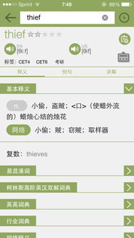 thief用英语怎么说
