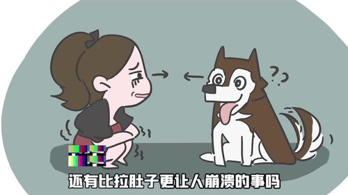 苹果12屏幕碎了多少钱换一个?