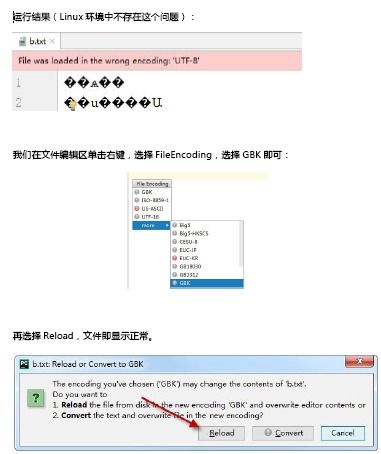 Ip是什么意思