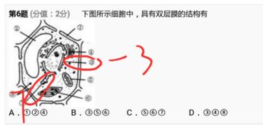 核膜具有双层膜结构吗，核被膜是双层膜吗