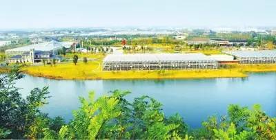 无锡是几线城市