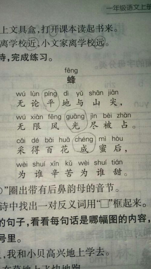 帮忙的反义词二年级下册，帮忙的反义词和近义词