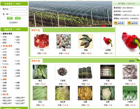 卖菜网络语言什么意思，卖菜网站有哪些