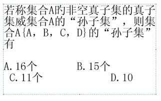 什么是非空真子集举例有哪些?