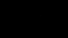 rows of，rows翻译成中文