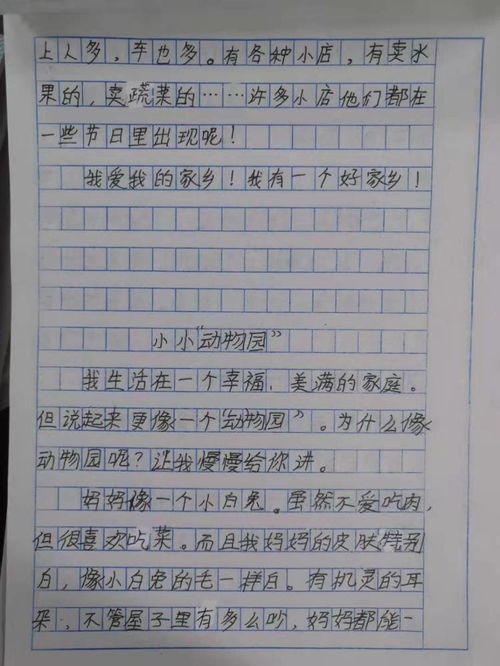 动物园作文