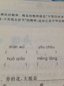 编可以组什么词