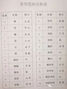 书的部首是什么(书的部首是什么偏旁)