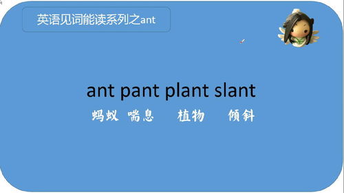 ant怎么读音发音 音标，aunt怎么读