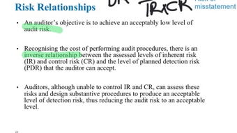 auditor，auditing