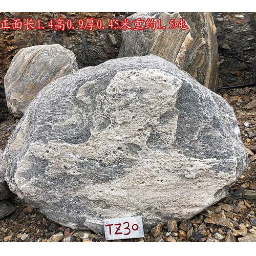 点石成金培训学校，点石家装公司简介