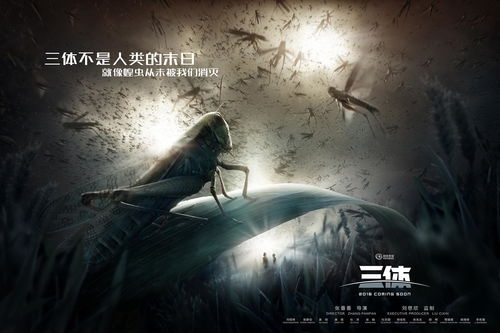 13三体是什么意思，20号染色体三体是什么意思