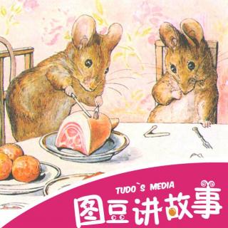 老鼠的故事在线听，动画片猫和老鼠的故事