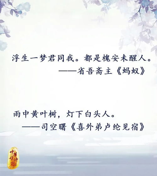 沁人心脾的意思是什么意思
