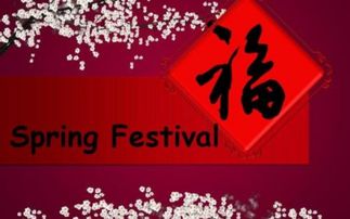 festival怎么读音标，water festival怎么读